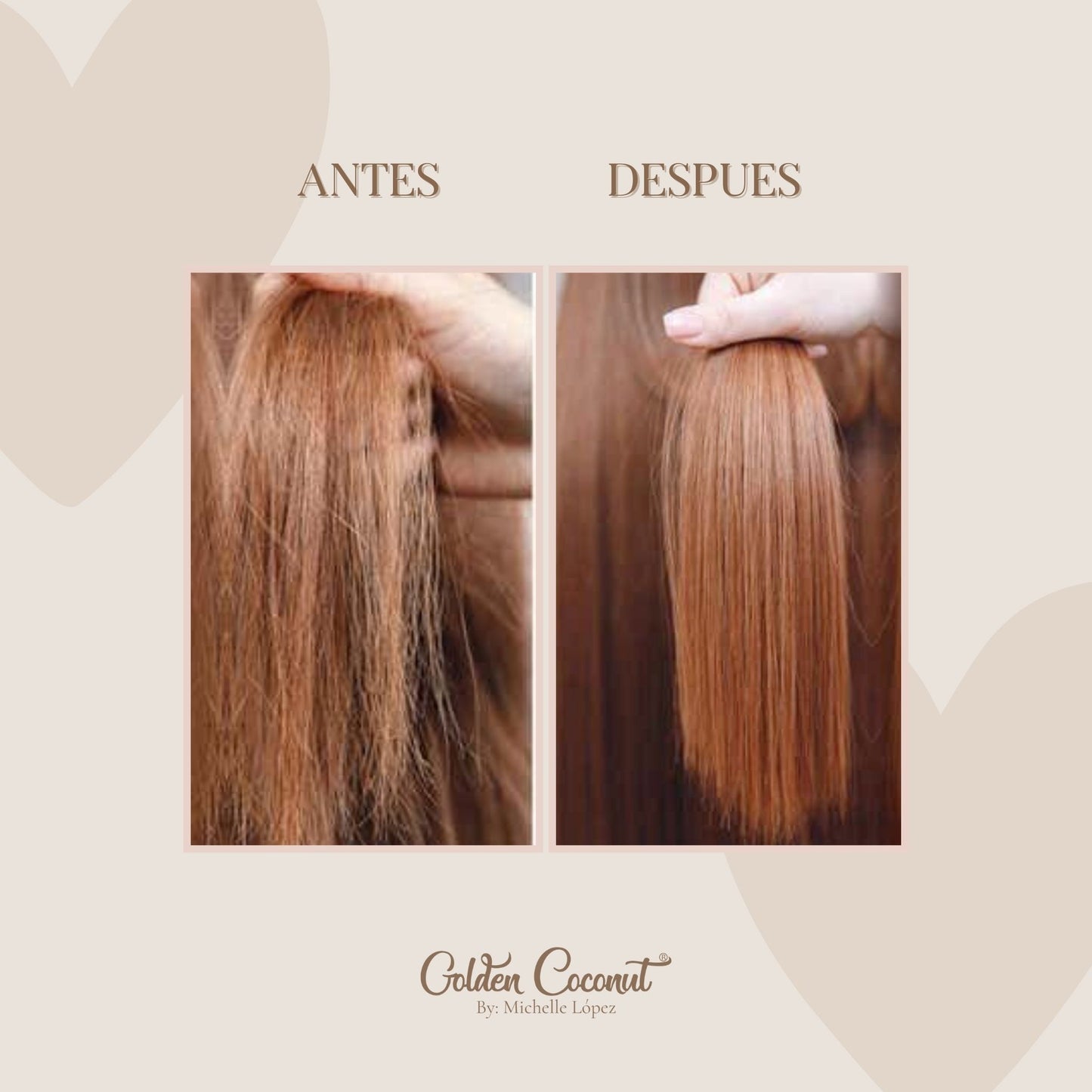 Coco Paradise Conditioner Treatment
